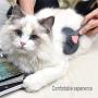 Hair Brush Self Cleaning Cat Dog -Shedding and Grooming-Knot and Tangle Comb-Massage Round Beads Protect The Pet Skin
