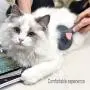 Hair Brush Self Cleaning Cat Dog -Shedding and Grooming-Knot and Tangle Comb-Massage Round Beads Protect The Pet Skin Hair Brush Self Cleaning Cat Dog -Shedding and Grooming-Knot and Tangle Comb-Massage Round Beads Protect The Pet Skin