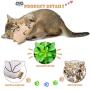 Chalyna 6 Pieces Cat Catnip Toys Plush Cat Toys Kitten Cat Chew Toys with Adorable Animal Face Bite Resistant Pet Toys for Kitty Cats Chewing and Playing