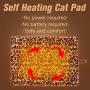 EXPAWLORER Self Heating Cat Pad for Pet, Warming Pet Bed Mat Safety Cat Pad with Leopard Print Great for Puppies and Cats in Cold Weather, Beige