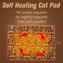 EXPAWLORER Self Heating Cat Pad for Pet, Warming Pet Bed Mat Safety Cat Pad with Leopard Print Great for Puppies and Cats in Cold Weather, Beige EXPAWLORER Self Heating Cat Pad for Pet, Warming Pet Bed Mat Safety Cat Pad with Leopard Print Great for Puppies and Cats in Cold Weather, Beige