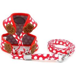 SMALLLEE_Lucky_Store New Soft Mesh Nylon Vest Pet Cat Small Medium Dog Harness Dog Leash Set
