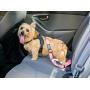 2PET Dog Seatbelt Strap Adjustable Dog Seat Belt for All for All Dog Breeds & Sizes Universal Dog Seat Belts Fit Seatbelt Latches of All Car Makes – 21” to 32” Dog Seatbelt - 2 Pack Choose Color