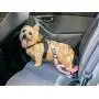 2PET Dog Seatbelt Strap Adjustable Dog Seat Belt for All for All Dog Breeds & Sizes Universal Dog Seat Belts Fit Seatbelt Latches of All Car Makes – 21” to 32” Dog Seatbelt - 2 Pack Choose Color 2PET Dog Seatbelt Strap Adjustable Dog Seat Belt for All for All Dog Breeds & Sizes Universal Dog Seat Belts Fit Seatbelt Latches of All Car Makes – 21” to 32” Dog Seatbelt - 2 Pack Choose Color