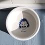 Einstein Designer Pet Dog Cat Ceramic Porcelain Feeding Bowl Food Water Feeder Blue White
