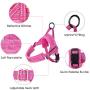 Lukovee Walking Dog Harness and Leash, Heavy Duty Adjustable Puppy Harness Soft Padded Reflective Vest Harness Anti-Twist 4FT Pet Lead Quick Fit Lightweight for Small Dog Cat