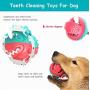 Dog Chew Toy Suction Cup Interactive Dog Toys Pet Molar Bite Toy Interactive Pull Rope Chew Rope with Squeaky Toys Ball, Dog Toothbrush Dog Toys for Aggressive Chewers (Red Blue)