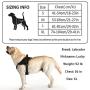 Golener Dog Harness No Pull, Reflective Puppy Harness with Led Light, Adjustable Dog Vest Harness, Soft Breathable Oxford Stylish Pet Harnesses with Easy Control Handle for Small/Medium/Large Dogs