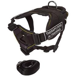 Dean & Tylers DT Fun Chest Support ''THERAPY DOG IN TRAINING '' Harness, Small, with 6 ft Padded Puppy Leash.