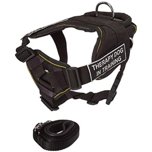 Dean & Tylers DT Fun Chest Support ''THERAPY DOG IN TRAINING '' Harness, Small, with 6 ft Padded Puppy Leash.