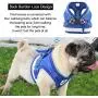 ZZBIQS Escape Proof Pet Harness with Reflective Strips, Universal Kitten and Puppy Harness and Leash for Walking, Breathable and Adjustable Pet Halters, Best Pet Supplies ZZBIQS Escape Proof Pet Harness with Reflective Strips, Universal Kitten and Puppy Harness and Leash for Walking, Breathable and Adjustable Pet Halters, Best Pet Supplies