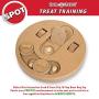 Ethical Pet Interactive Seek-A-Treat Flip N Flap Bone Dog Toy Puzzle that will improve your dogs IQ. Specially designed for dog training treats., Multicolor, 10 x 10 x 1.6 inches ; 1.65 pounds (5652)