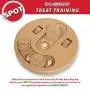 Ethical Pet Interactive Seek-A-Treat Flip N Flap Bone Dog Toy Puzzle that will improve your dogs IQ. Specially designed for dog training treats., Multicolor, 10 x 10 x 1.6 inches ; 1.65 pounds (5652)