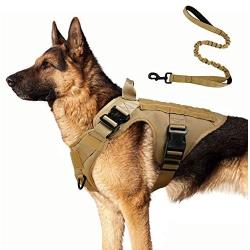 rabbitgoo Tactical Dog Harness and Bungee Dog Leash Set for Large Medium Dogs, Molle Vest for Service & Training Military Dogs Adjustable Training Hunting Dog Tactical Vest, Tan, L, Chest (31.5-41.3”)