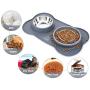 Pecute Dog Bowl Slow Feeder Bloat Stop Pet Bowl Fun Feeder Eco-Friendly Non-Toxic No Choking Healthy Design Bowl with No-Spill Non-Skid Silicone Mat Stainless Steel Water Bowl for Dogs Cats and Pets