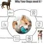 Squeaky Dog Toys for Aggressive Chewers ,Almost Indestructible，Plush Dog Toy with Squeaker, Durable Pet Toy for Medium and Large Breed. 2Pcs.…