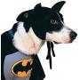 Rubies Costume DC Heroes and Villains Collection Pet Costume - Classic Batman