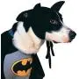 Rubies Costume DC Heroes and Villains Collection Pet Costume - Classic Batman Rubies Costume DC Heroes and Villains Collection Pet Costume - Classic Batman