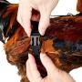 2 PCS Chicken Harness, Hen Roosters Traning Walking Harness Leash with 5-Foot Matching Leash Adjustable, Resilient, Comfortable, Breathable Suitable for Chicken, Duck or Goose (Black and Purple)