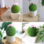 BeiXiaoFen Funny Cactus with Flower Cat Scratching Board pet Scratch Post Cat Interactive Toys