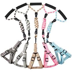 Dog Harness and Leash Set Padded Handle Durable Comfortable Dog Leash Adjustable Dog Vest Pet Harness for Small Medium Dogs