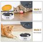 B Bascolor Interactive Cat Toys for Indoor Cats Electronic Squeaky Mouse Cat Toy Automatic Kitten Hunting Toy with Rotating Mouse & Scratching Pad for Cats Kitten Pets