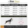 SMALLLEE_LUCKY_STORE Soft Mesh Step-in Small Dog/Cat Harness and Leash Set for Walking Escape Proof Reflective Puppy Vest Harness