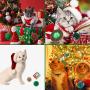 Cute Paws Christmas Cat Toy Stocking Gifts Set,Cat Kitten Interactive Toy, Cat Catnip Toys for Indoor with Ball, Mouse, Bell, Catnip Toys, Crinkle Balls