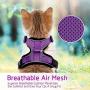 rabbitgoo Cat Harness and Leash for Walking, Escape Proof Soft Adjustable Vest Harnesses for Cats, Easy Control Breathable Reflective Strips Jacket, Purple, S(Chest: 18'' - 20'')