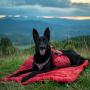 Kurgo Waterproof Dog Bed, Outdoor Bed for Dogs |Portable Bed Roll for Pets, Travel |Hiking, Camping, Wander Loft Dog Bed |Chili Red (Large), Loft Travel Bed, Large