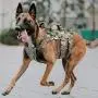 PETAC GEAR Tactical Dog Harness K9 Working Dog Vest Military Dog Training Harness Police Service Dog Vest with Handle, Molle Panel, Breathable Mesh