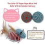 Jcheupet 17pcs Assorted Cat Toys,Interactive Toys Set Including Wool Balls,Catnip Feather Pineapple,Paper Rope Balls and Feather Mice for Kitty,Cat,Kitten with Storage Bag