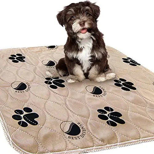 Best Defense Washable Pee Pads for Dogs, 2- Pack Large 30 x 32 Reusable Dog, Puppy, Whelping and Training Pad for Home, Apartment, Crate and Travel Best Defense Washable Pee Pads for Dogs, 2- Pack Large 30 x 32 Reusable Dog, Puppy, Whelping and Training Pad for Home, Apartment, Crate and Travel