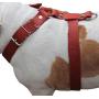 Red Genuine Leather Dog Harness, Large to XLarge. 33''-37'' Chest, 1.5'' Wide Straps, Rottweiler Mastiff