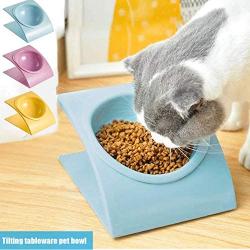 Rxan Cat Dog Bowls Elevated Tilted Raised Cat Food Water Bowl Dish Stress Free Backflow Protection