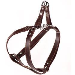 Logical Leather Adjustable Dog Harness