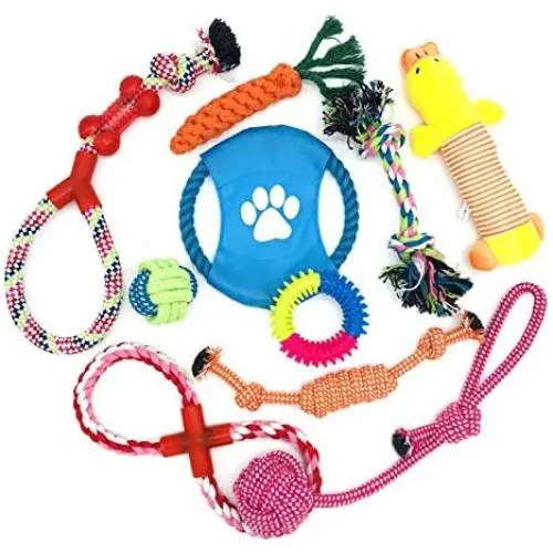 Alfie Pet - Kellan 10-Piece Set Frisbee and Rope Bundle Dog Toy Alfie Pet - Kellan 10-Piece Set Frisbee and Rope Bundle Dog Toy