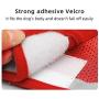 Dog Harness Vest Set Step in Puppy Vest Harness Leash Soft Mesh No Choke for Large Medium Pets Red L