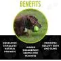 Hero Outer Armor, Football Dog Toy, Floats and Squeaks
