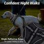 rabbitgoo Dog Harness No Pull, Adjustable Dog Walking Harness with 2 Metal Clips & Shock-Absorbing Bungee Straps, Soft Padded Pet Vest Chest Harness Reflective with Handle for Medium Dogs (Black, M)