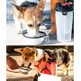 CLOVOCK Pet Food and Water 2-in-1 Outdoor Dog Water Bottle Dispenser, of with 1Collapsible Dog Food Bowls for Cats and Dogs