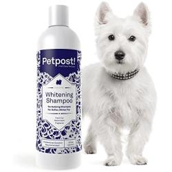 Petpost | Dog Whitening Shampoo - Best Lightening Treatment for Dogs with White Fur - Soothing Watermelon Scent - Maltese, Shih Tzu, Bichon Frise Approved - 8 oz.