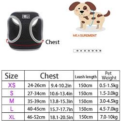 PENIVO Small Dog Harness Vest Puppy Breathable Mesh Pet Dog Harness and Leash Set Reflective for Small Medium Dogs Chest Strap Walking Lead