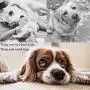 PLAYJOY Puppy Chew Toys / Small Dog Toys,Dog Toys for Small Medium Dogs, Interactive Dog Toys for Boredom , Squeaky Plush Dog Toys, Puppy Toys PLAYJOY Puppy Chew Toys / Small Dog Toys,Dog Toys for Small Medium Dogs, Interactive Dog Toys for Boredom , Squeaky Plush Dog Toys, Puppy Toys