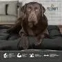 Pet Craft Supply Super Snoozer Calming Indoor / Outdoor All Season Water Resistant Durable Dog Bed Pet Craft Supply Super Snoozer Calming Indoor / Outdoor All Season Water Resistant Durable Dog Bed