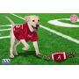 Pets First NCAA Alabama Crimson Tide Football Dog Toy, Tough Quality Nylon Materials, Strong Pull Ropes, Inner Squeaker, Collegiate Team Color