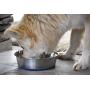 OurPets Premium DuraPet Dog Bowl