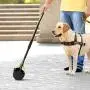 BLYNN 23'' Long Handle Pet Pooper Scooper for Dogs and Cats,High Strength Material and Durable Spring,Great for Lawns, Grass, Dirt, Gravel BLYNN 23'' Long Handle Pet Pooper Scooper for Dogs and Cats,High Strength Material and Durable Spring,Great for Lawns, Grass, Dirt, Gravel