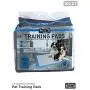 Creative Pet Group Murphy & Roxy Pets Super Absorbent, Six-Layer, Scented Training Pads (100 Pack), Blue Creative Pet Group Murphy & Roxy Pets Super Absorbent, Six-Layer, Scented Training Pads (100 Pack), Blue