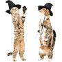 Weewooday 4 Pieces Halloween Pet Costume Set Including 2 Vampire Costume Cloaks 1 Pet Witch Hat and 1 Horn Hat for Cat and Dog Role Play Party Supplies